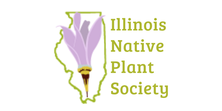 il native plant