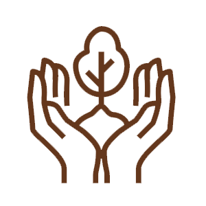 installation ico brown