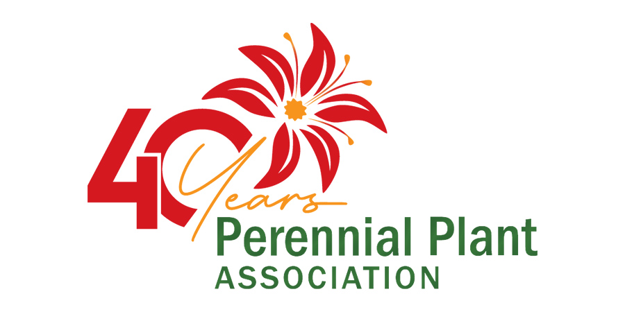 perennial plant