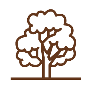 tree ico brown